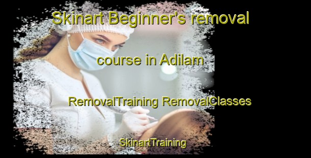 Skinart Beginner's removal course in Adilam | #RemovalTraining #RemovalClasses #SkinartTraining-India