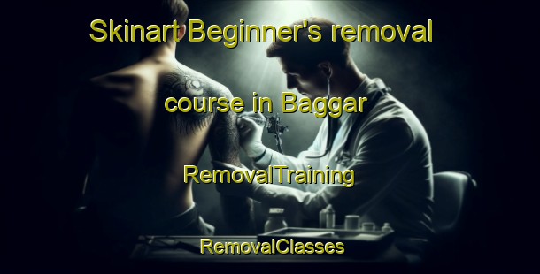 Skinart Beginner's removal course in Baggar | RemovalTraining | RemovalClasses | SkinartTraining-India
