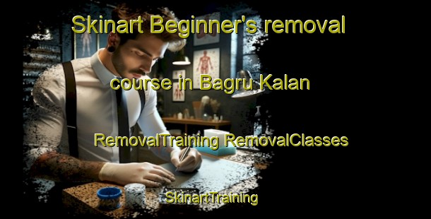 Skinart Beginner's removal course in Bagru Kalan | #RemovalTraining #RemovalClasses #SkinartTraining-India