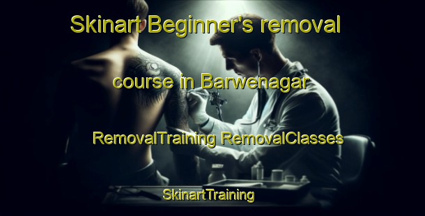 Skinart Beginner's removal course in Barwenagar | #RemovalTraining #RemovalClasses #SkinartTraining-India