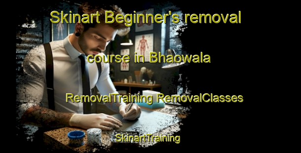 Skinart Beginner's removal course in Bhaowala | #RemovalTraining #RemovalClasses #SkinartTraining-India