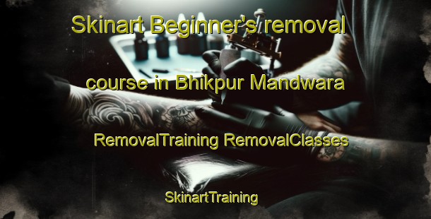 Skinart Beginner's removal course in Bhikpur Mandwara | #RemovalTraining #RemovalClasses #SkinartTraining-India