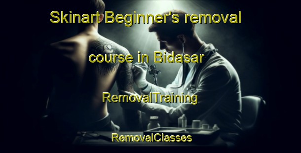 Skinart Beginner's removal course in Bidasar | RemovalTraining | RemovalClasses | SkinartTraining-India