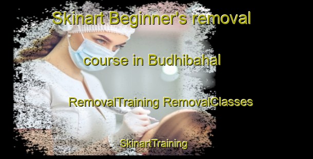 Skinart Beginner's removal course in Budhibahal | #RemovalTraining #RemovalClasses #SkinartTraining-India