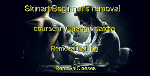 Skinart Beginner's removal course in Changurdatola | RemovalTraining | RemovalClasses | SkinartTraining-India