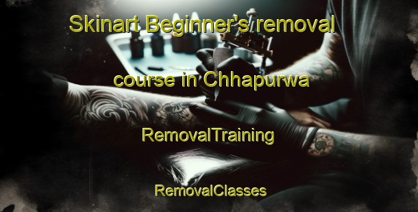 Skinart Beginner's removal course in Chhapurwa | RemovalTraining | RemovalClasses | SkinartTraining-India