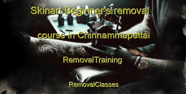 Skinart Beginner's removal course in Chinnammapettai | RemovalTraining | RemovalClasses | SkinartTraining-India
