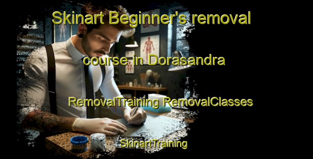 Skinart Beginner's removal course in Dorasandra | #RemovalTraining #RemovalClasses #SkinartTraining-India