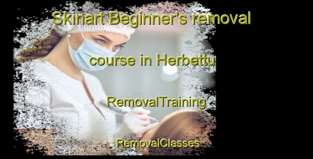 Skinart Beginner's removal course in Herbettu | RemovalTraining | RemovalClasses | SkinartTraining-India
