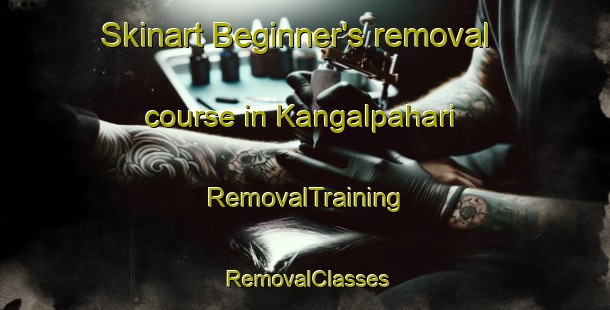 Skinart Beginner's removal course in Kangalpahari | RemovalTraining | RemovalClasses | SkinartTraining-India