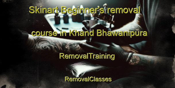Skinart Beginner's removal course in Khand Bhawanipura | RemovalTraining | RemovalClasses | SkinartTraining-India