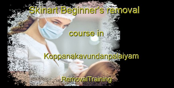 Skinart Beginner's removal course in Koppanakavundanpalaiyam | RemovalTraining | RemovalClasses | SkinartTraining-India