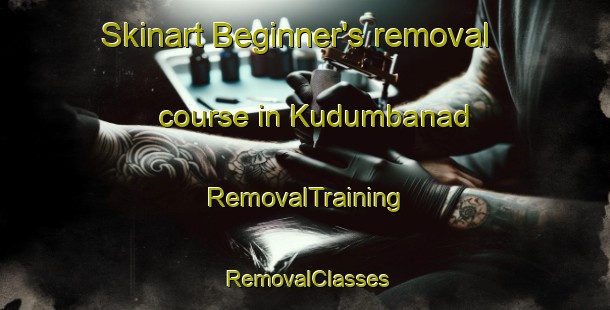 Skinart Beginner's removal course in Kudumbanad | RemovalTraining | RemovalClasses | SkinartTraining-India