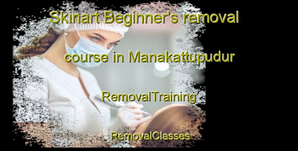Skinart Beginner's removal course in Manakattupudur | RemovalTraining | RemovalClasses | SkinartTraining-India