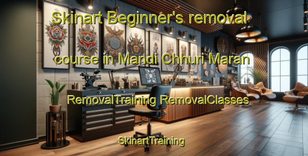 Skinart Beginner's removal course in Mandi Chhuri Maran | #RemovalTraining #RemovalClasses #SkinartTraining-India