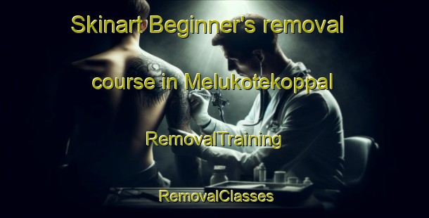 Skinart Beginner's removal course in Melukotekoppal | RemovalTraining | RemovalClasses | SkinartTraining-India