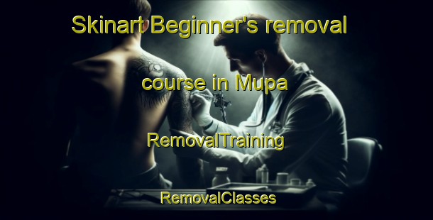 Skinart Beginner's removal course in Mupa | RemovalTraining | RemovalClasses | SkinartTraining-India