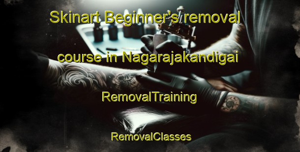 Skinart Beginner's removal course in Nagarajakandigai | RemovalTraining | RemovalClasses | SkinartTraining-India