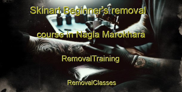 Skinart Beginner's removal course in Nagla Marokhara | RemovalTraining | RemovalClasses | SkinartTraining-India