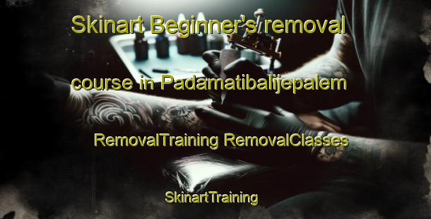 Skinart Beginner's removal course in Padamatibalijepalem | #RemovalTraining #RemovalClasses #SkinartTraining-India