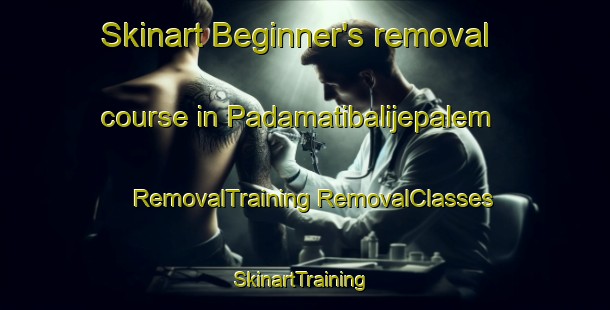 Skinart Beginner's removal course in Padamatibalijepalem | #RemovalTraining #RemovalClasses #SkinartTraining-India