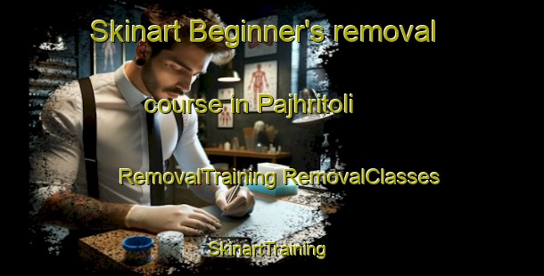 Skinart Beginner's removal course in Pajhritoli | #RemovalTraining #RemovalClasses #SkinartTraining-India