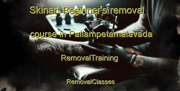 Skinart Beginner's removal course in Pallampetamalavada | RemovalTraining | RemovalClasses | SkinartTraining-India