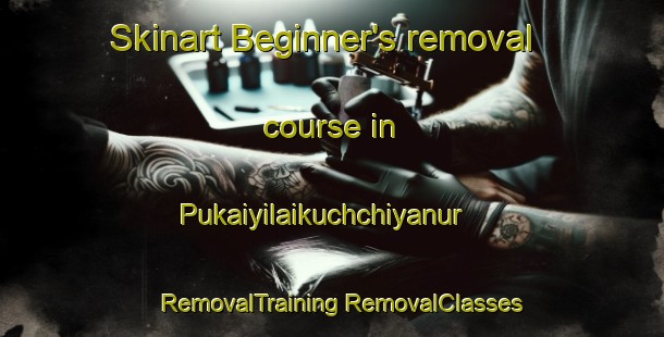 Skinart Beginner's removal course in Pukaiyilaikuchchiyanur | #RemovalTraining #RemovalClasses #SkinartTraining-India