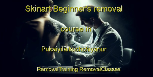 Skinart Beginner's removal course in Pukaiyilaikuchchiyanur | #RemovalTraining #RemovalClasses #SkinartTraining-India