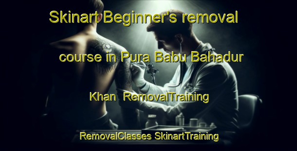 Skinart Beginner's removal course in Pura Babu Bahadur Khan | #RemovalTraining #RemovalClasses #SkinartTraining-India