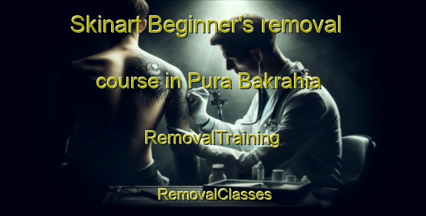 Skinart Beginner's removal course in Pura Bakrahia | RemovalTraining | RemovalClasses | SkinartTraining-India