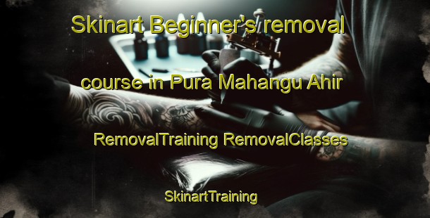 Skinart Beginner's removal course in Pura Mahangu Ahir | #RemovalTraining #RemovalClasses #SkinartTraining-India