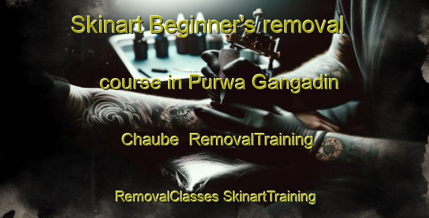 Skinart Beginner's removal course in Purwa Gangadin Chaube | #RemovalTraining #RemovalClasses #SkinartTraining-India