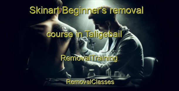 Skinart Beginner's removal course in Taligebail | RemovalTraining | RemovalClasses | SkinartTraining-India