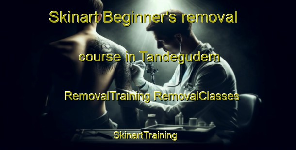 Skinart Beginner's removal course in Tandegudem | #RemovalTraining #RemovalClasses #SkinartTraining-India