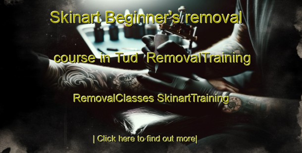 Skinart Beginner's removal course in Tud | #RemovalTraining #RemovalClasses #SkinartTraining-India