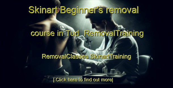 Skinart Beginner's removal course in Tud | #RemovalTraining #RemovalClasses #SkinartTraining-India