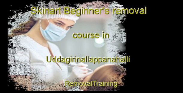 Skinart Beginner's removal course in Uddagirinallappanahalli | RemovalTraining | RemovalClasses | SkinartTraining-India