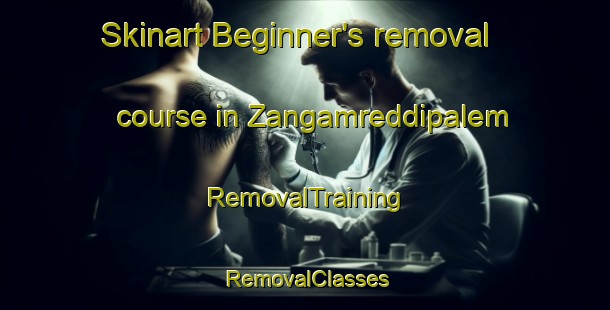 Skinart Beginner's removal course in Zangamreddipalem | RemovalTraining | RemovalClasses | SkinartTraining-India