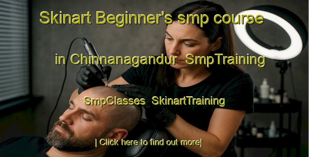 Skinart Beginner's smp course in Chinnanagandur | SmpTraining | SmpClasses | SkinartTraining-India