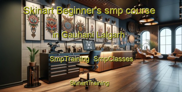 Skinart Beginner's smp course in Gauhani Lalgarh | SmpTraining | SmpClasses | SkinartTraining-India