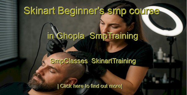 Skinart Beginner's smp course in Ghopla | SmpTraining | SmpClasses | SkinartTraining-India