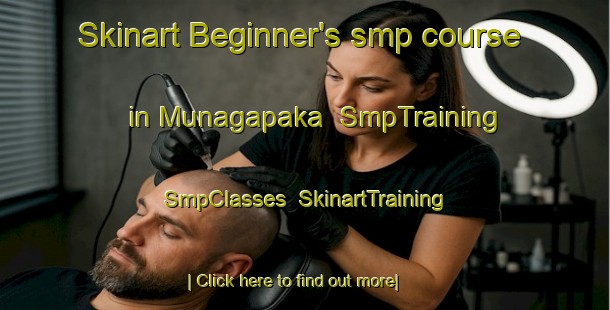 Skinart Beginner's smp course in Munagapaka | SmpTraining | SmpClasses | SkinartTraining-India