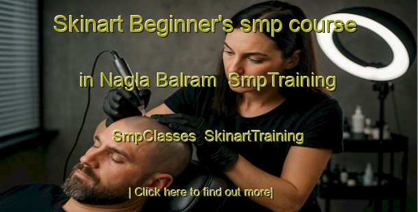 Skinart Beginner's smp course in Nagla Balram | SmpTraining | SmpClasses | SkinartTraining-India