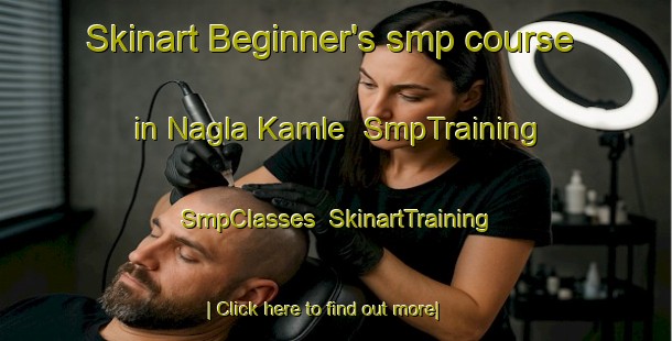 Skinart Beginner's smp course in Nagla Kamle | SmpTraining | SmpClasses | SkinartTraining-India