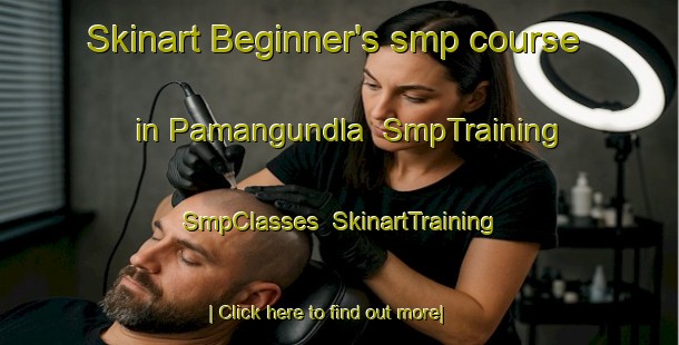 Skinart Beginner's smp course in Pamangundla | SmpTraining | SmpClasses | SkinartTraining-India