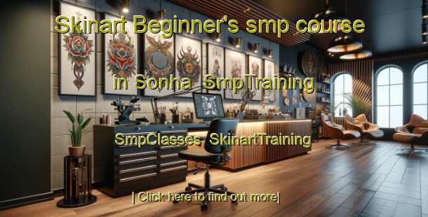 Skinart Beginner's smp course in Sonha | SmpTraining | SmpClasses | SkinartTraining-India
