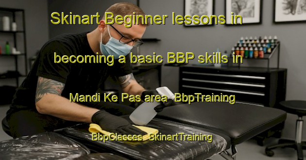 Skinart Beginner lessons in becoming a basic BBP skills in Mandi Ke Pas area | BbpTraining | BbpClasses | SkinartTraining-India