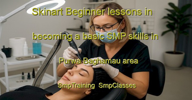 Skinart Beginner lessons in becoming a basic SMP skills in Purwa Baghamau area | SmpTraining | SmpClasses | SkinartTraining-India