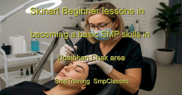 Skinart Beginner lessons in becoming a basic SMP skills in Udaibhan Chak area | SmpTraining | SmpClasses | SkinartTraining-India
